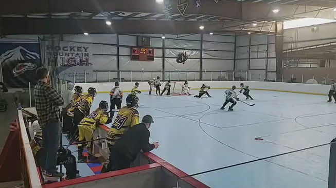 Sting vs rink rat
